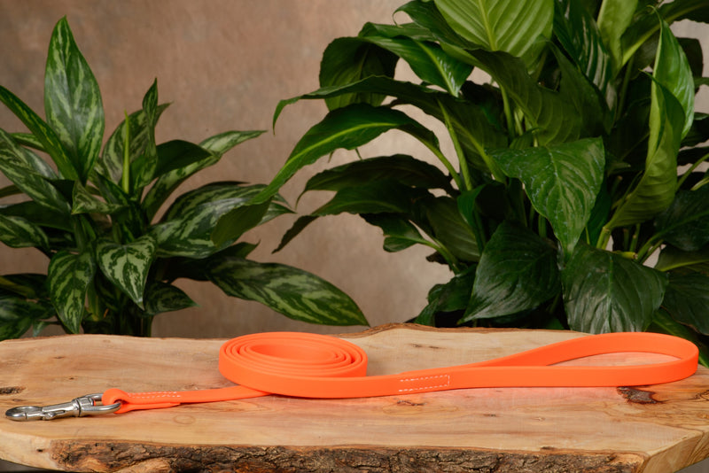 Neon Orange Hercules 6 Foot Dog Leash - Amish Made Belts